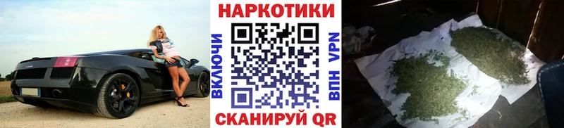 Канабис Тайга