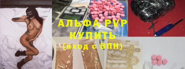 спиды Ладушкин