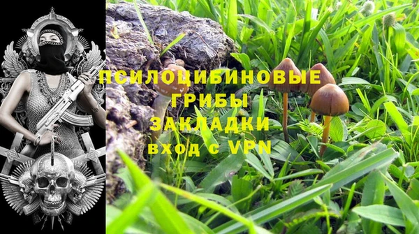 спиды Ладушкин
