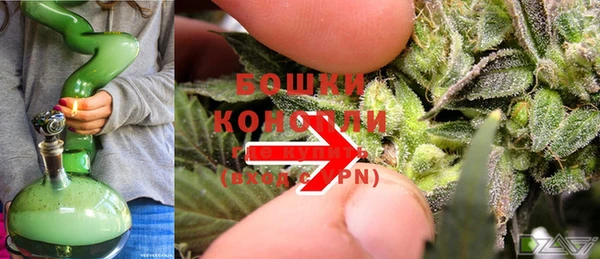 спиды Ладушкин