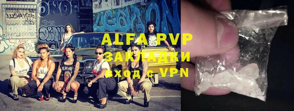 спиды Ладушкин
