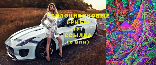 mix Лабытнанги