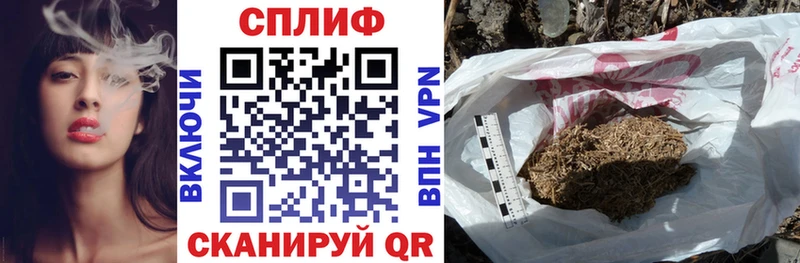 Шишки марихуана план  Тайга 